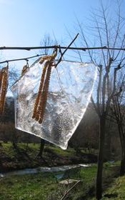 La vall&eacute;e de la Sorgues